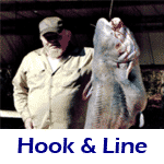 Photos Hooks and Line